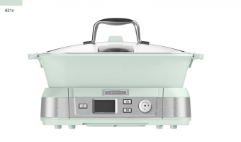 News-Willpower（Guangdong）Electric Appliance Technology Co.,Ltd.-Steamer made by willpower successfully launched on the market