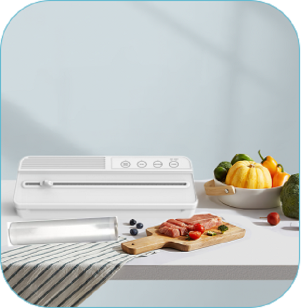 Vacuum Sealer VS-2013